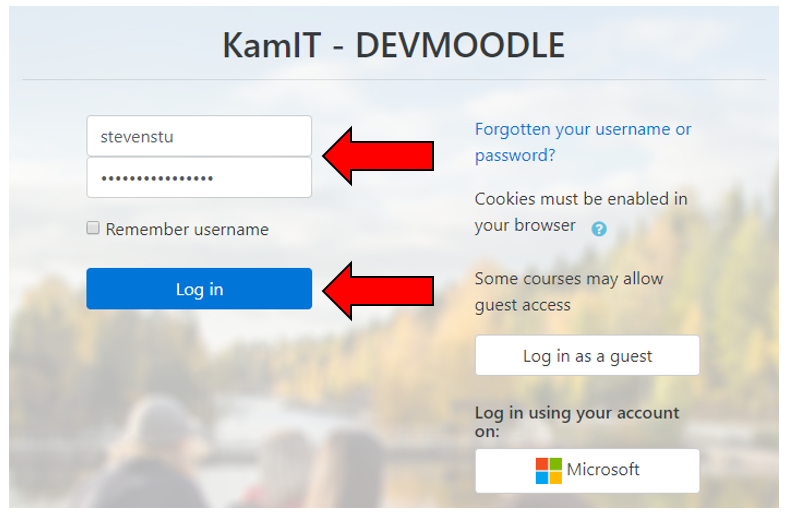 Log in with Kamit ID